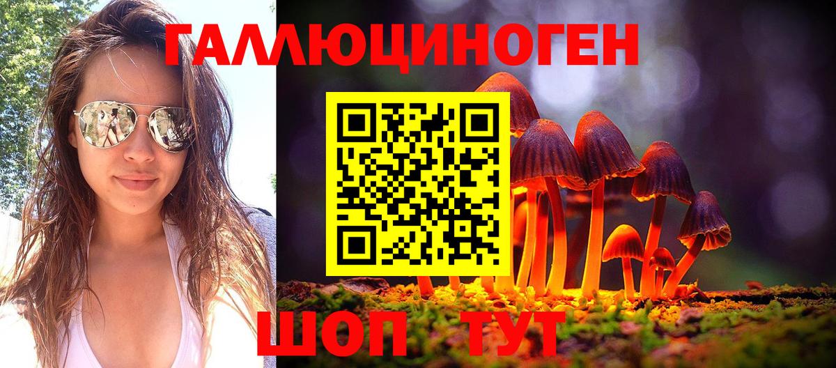 Галлюциногенные грибы Cubensis Сокол